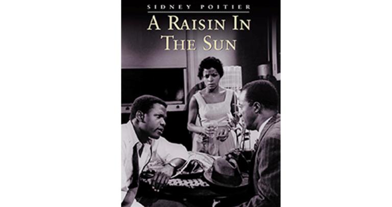 a raisin in the sun