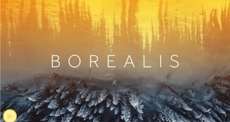 Borealis