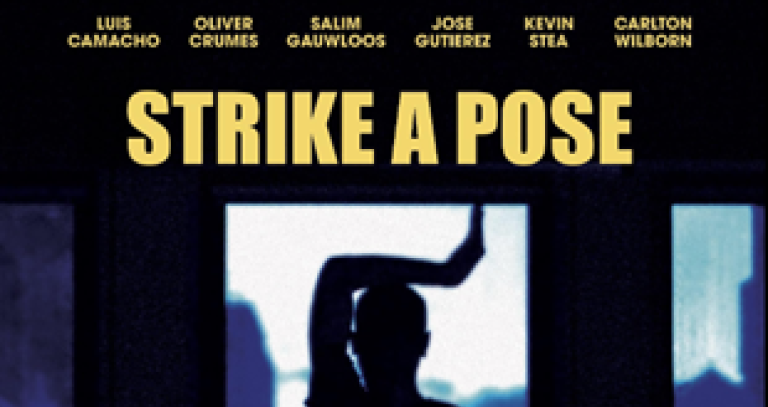 Covert art for Strike a pose