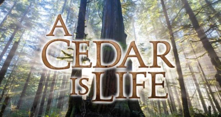 Cover of A Cedar is Life