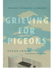 Grieving for pigeons