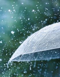 weather