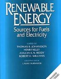 Renewable energy : sources for fuels and electricity