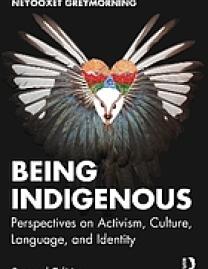 Being indigenous : perspectives on activism, culture, language, and identity